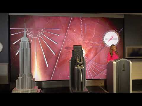 Elizabeth Hurley Lights Up The Empire State Building in Honor of Breast Cancer Awareness Month